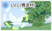 LVL(構造材)